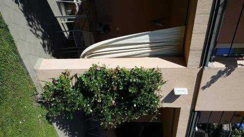 Photo of Others in Acqui Terme