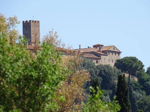 Photo of Others in Marsiliana