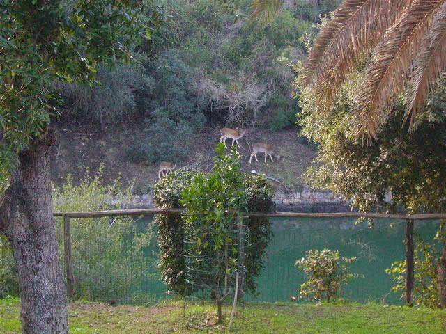 Photo of Others in Ansedonia