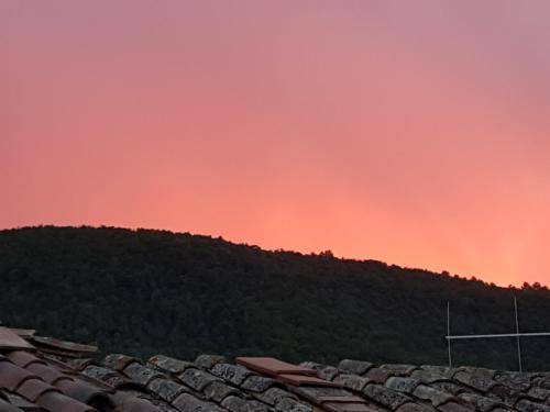 Photo of Others in Terni