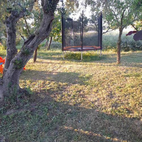 Photo of Outdoor in Loreto