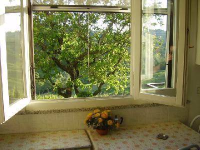 Photo of Others in Salsomaggiore Terme