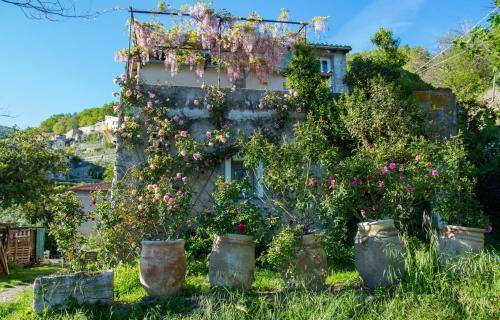Photo of Others in Calice Ligure