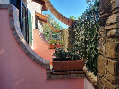 Photo of Others in San Marco di Castellabate