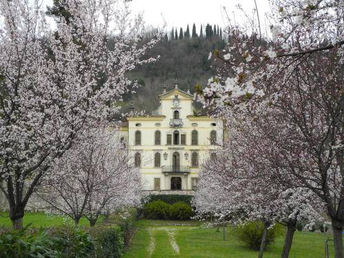 Photo of Others in Vittorio Veneto