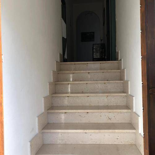 Photo of Others in Poggio