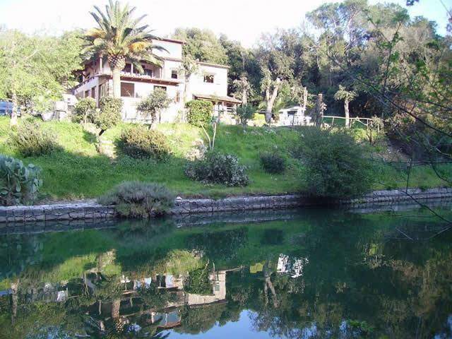 Photo of Others in Ansedonia