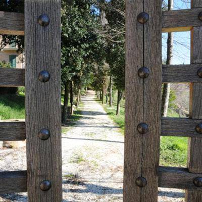 Photo of Others in Corridonia