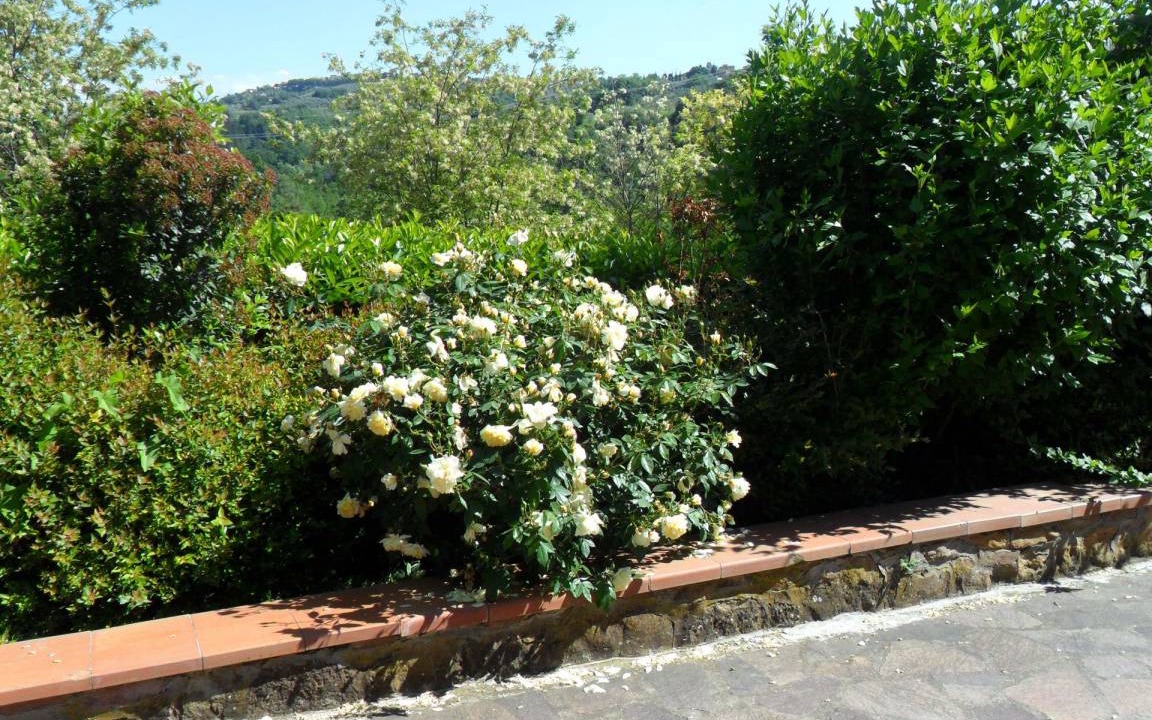 Photo of Outdoor in Montaione