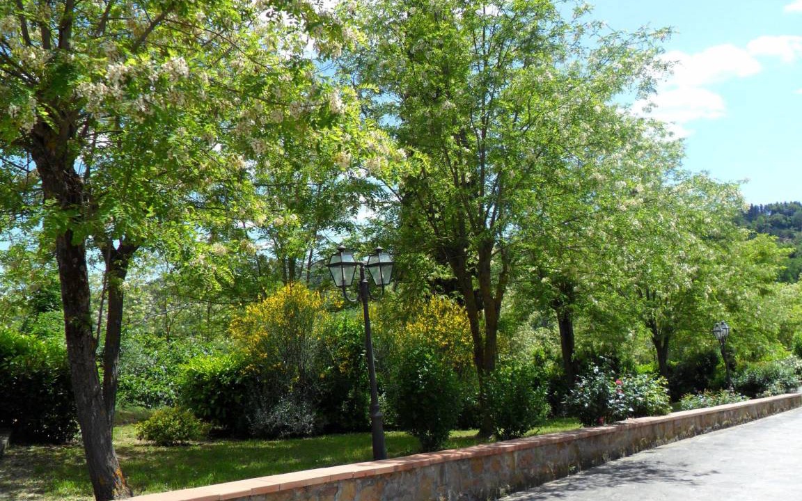 Photo of Outdoor in Montaione