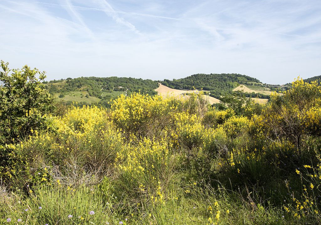 Photo of Outdoor in Villa Musone