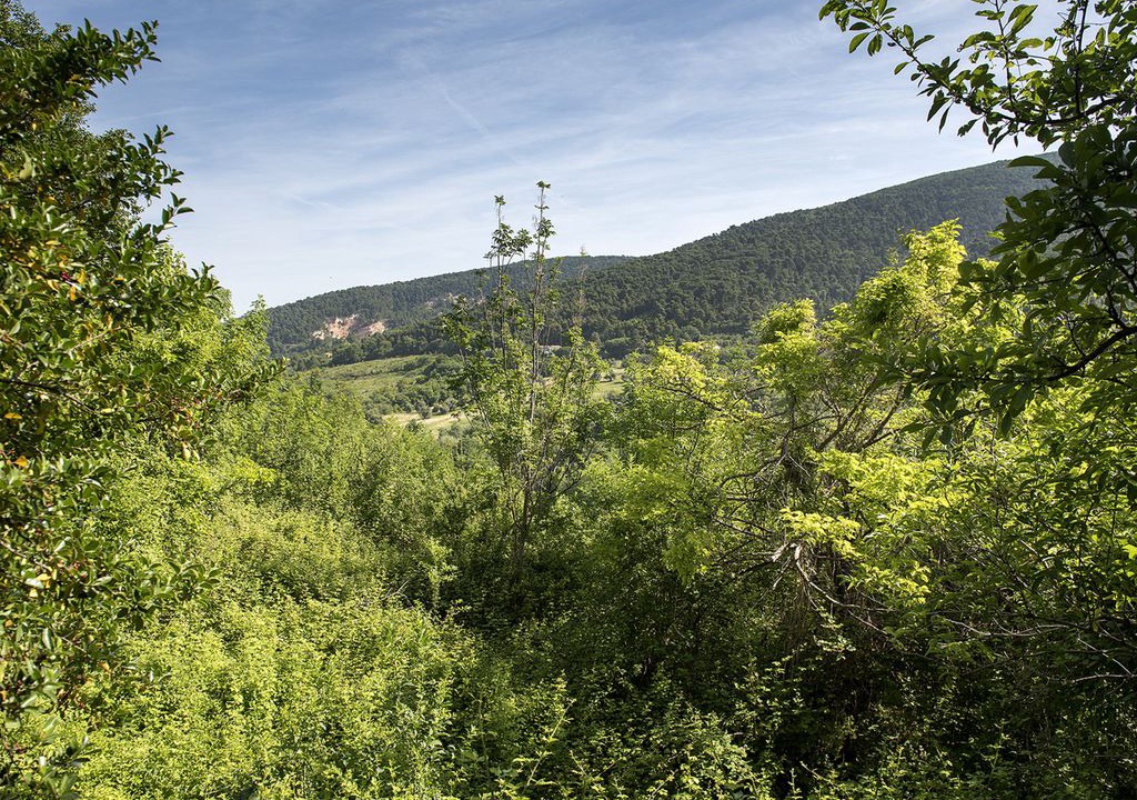 Photo of Outdoor in Villa Musone
