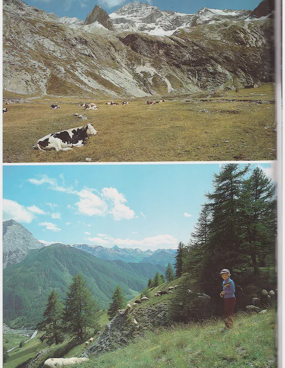 Photo of Others in Sestriere