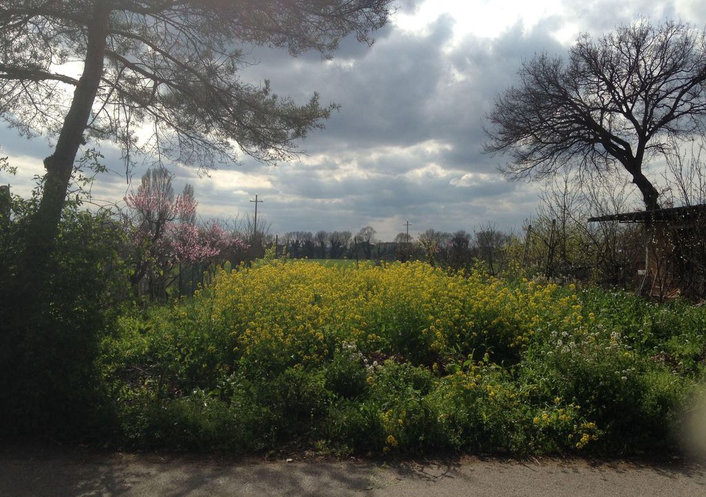 Photo of Outdoor in Lidarno