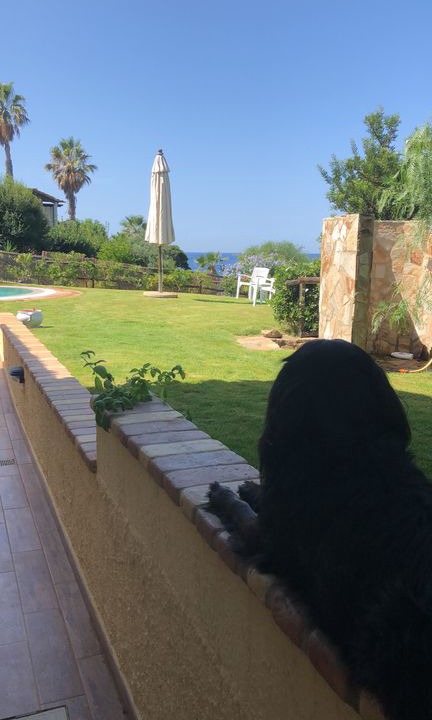 Photo of Others in San Stefano