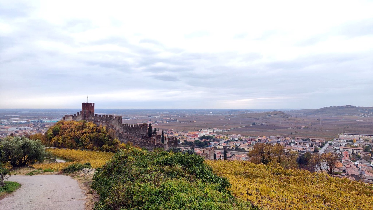 Photo of Others in Soave