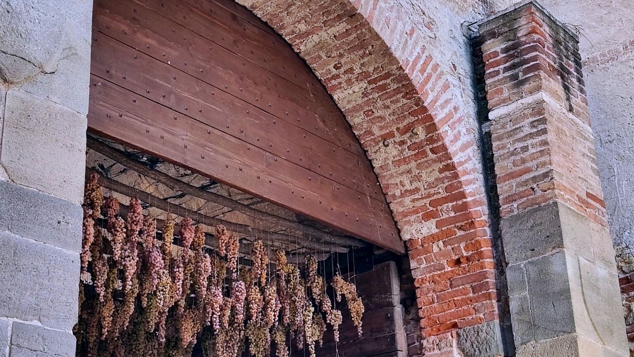 Photo of Others in Soave