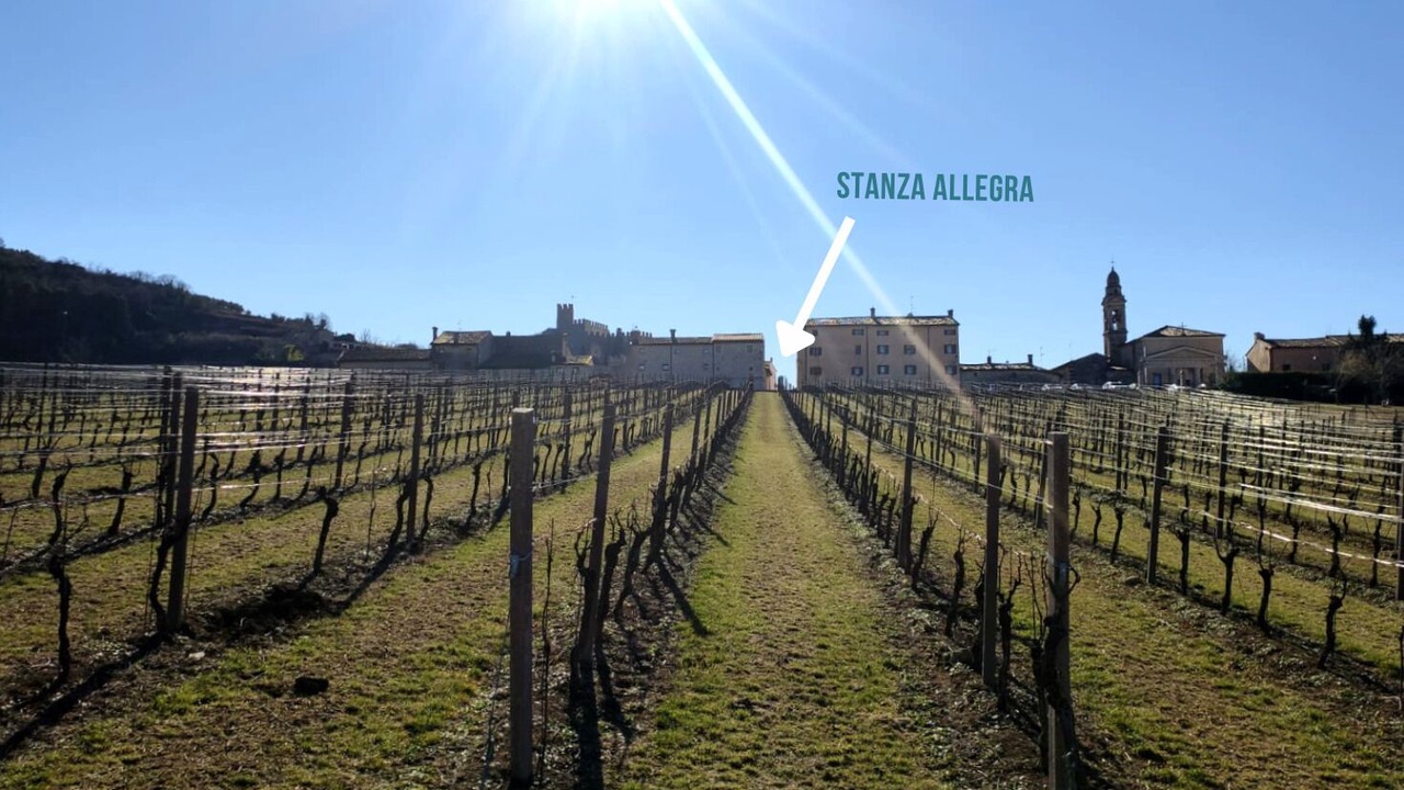 Photo of Outdoor in Soave