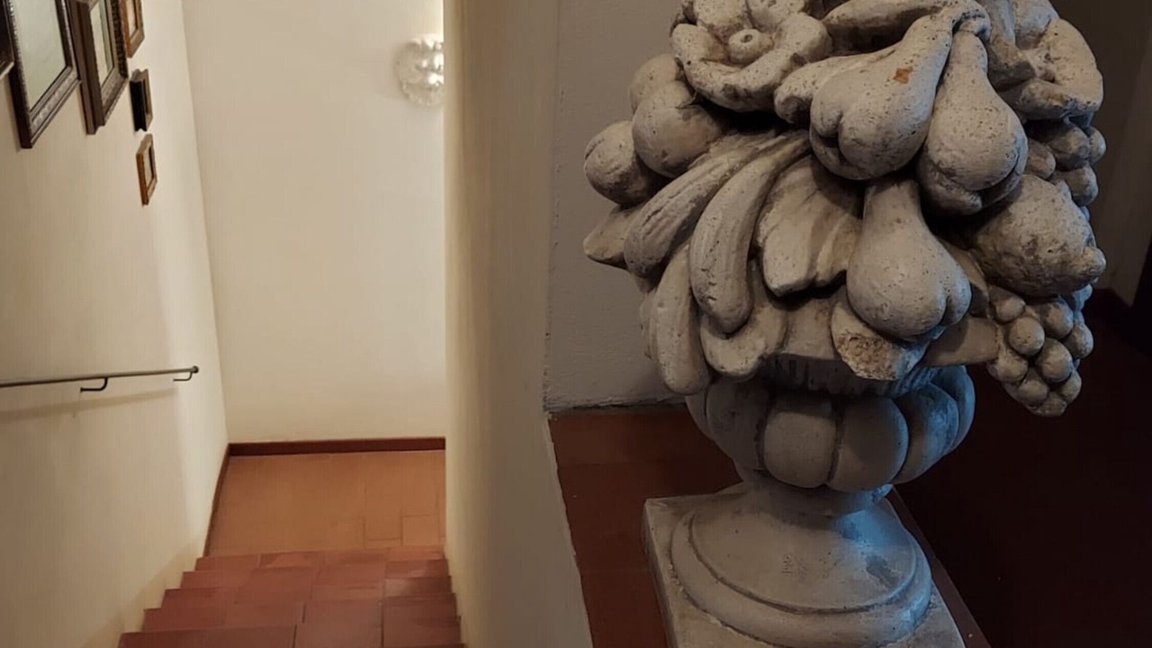 Photo of Others in Marciano della Chiana