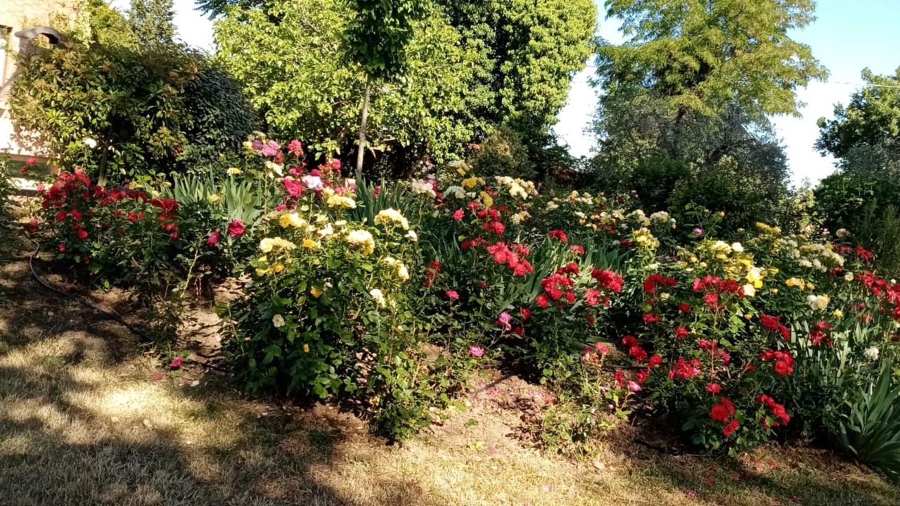Photo of Outdoor in Marciano della Chiana