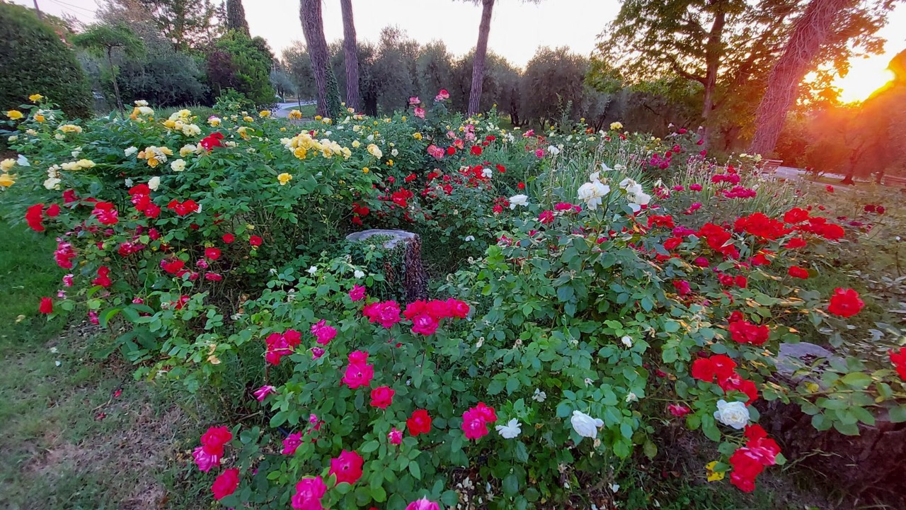Photo of Outdoor in Marciano della Chiana