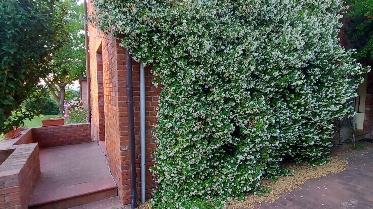 Photo of Outdoor in Marciano della Chiana