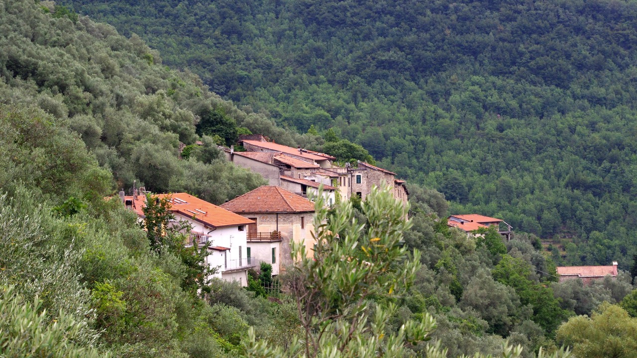 Photo of Outdoor in Nasino