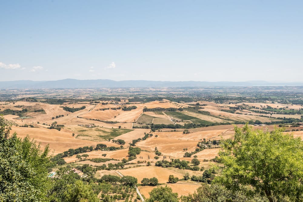 Photo of Others in Montefollonico