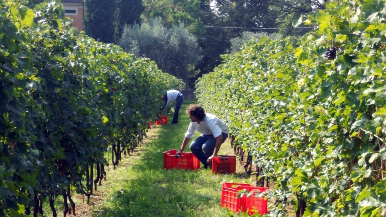 Photo of Outdoor in Borgo Trento