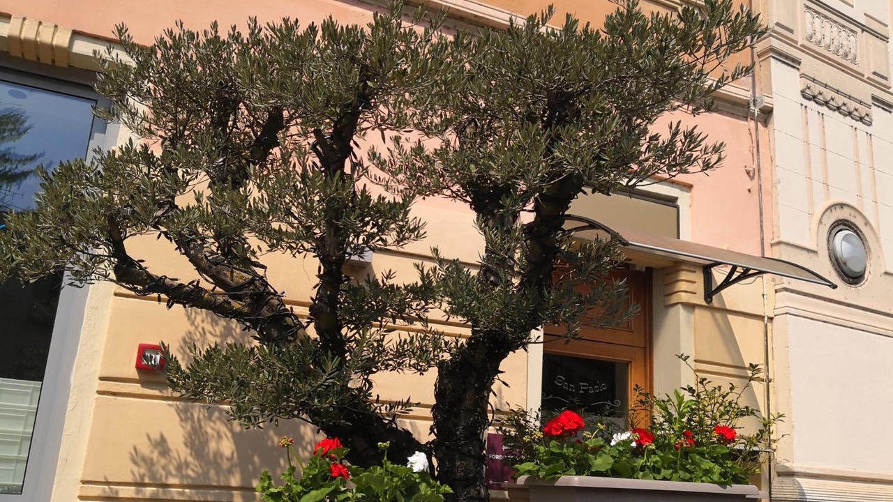Photo of Outdoor in Monza