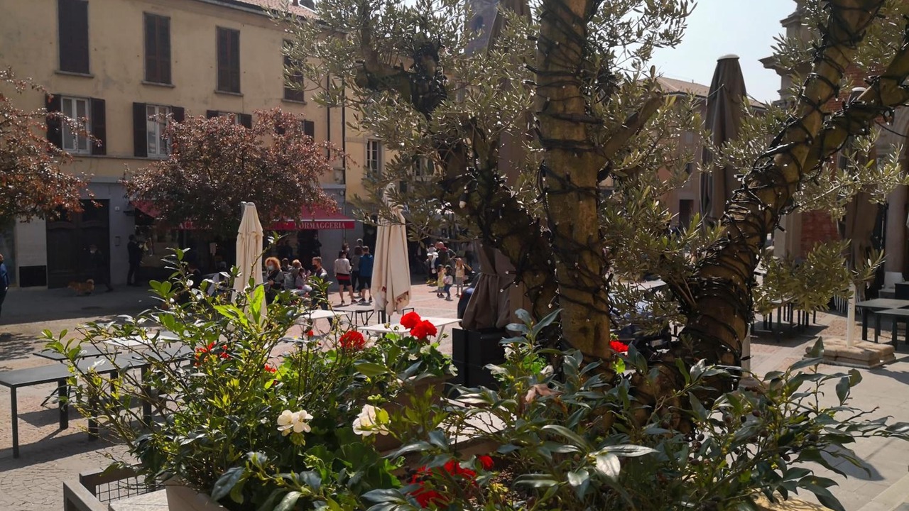 Photo of Outdoor in Monza