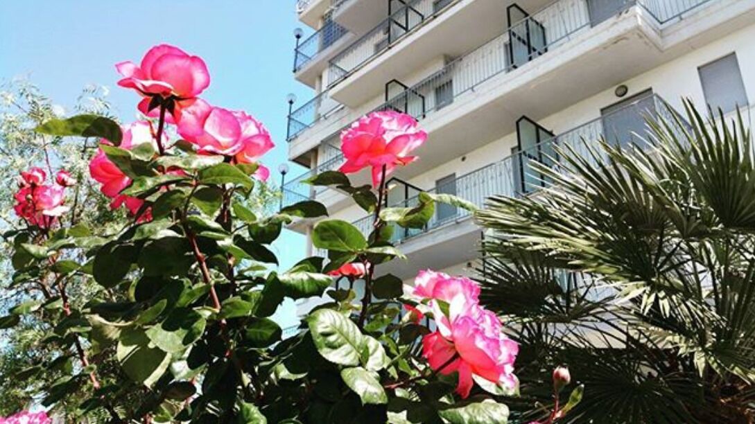 Photo of Outdoor in Martinsicuro