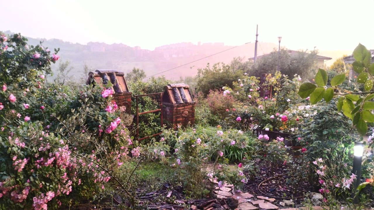 Photo of Outdoor in Montelaguardia