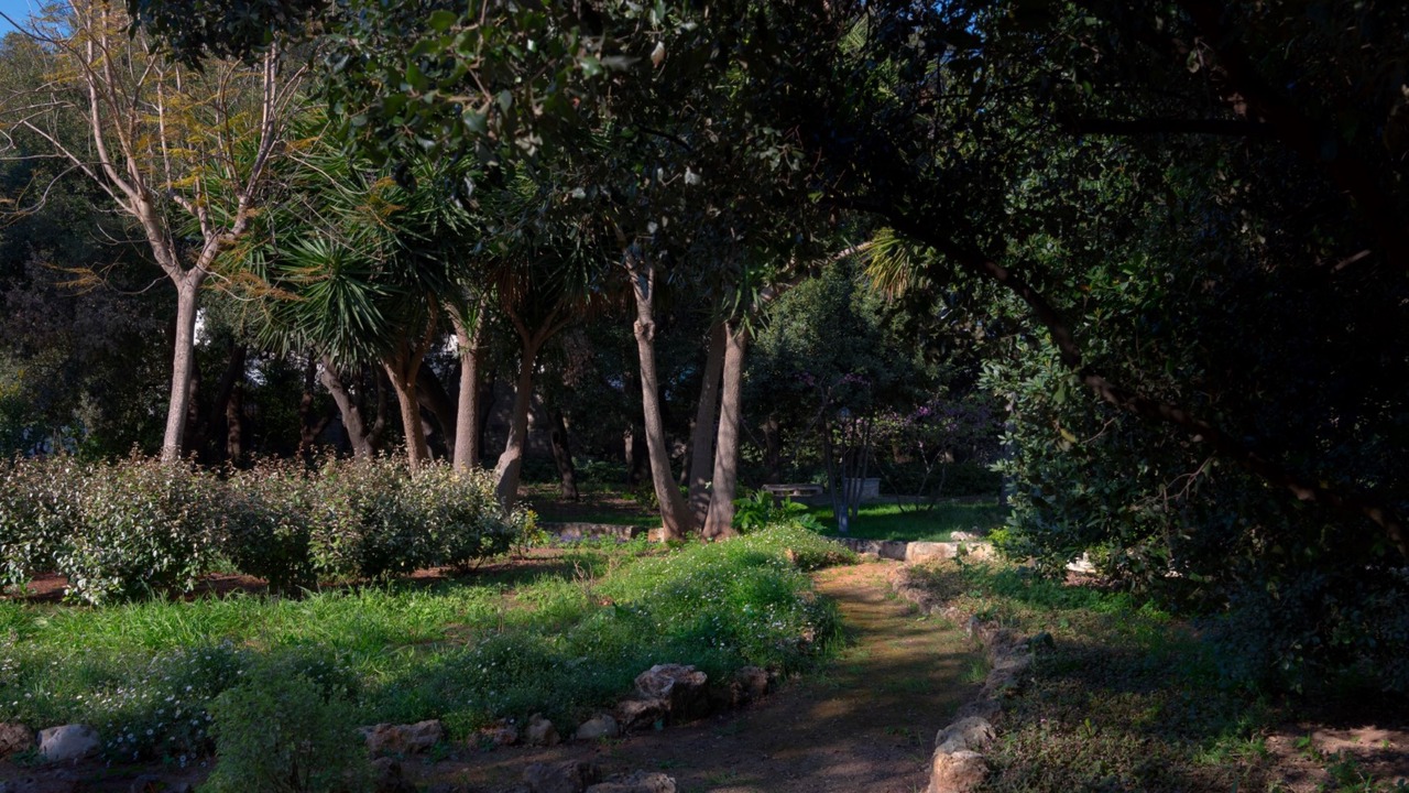 Photo of Outdoor in Manduria