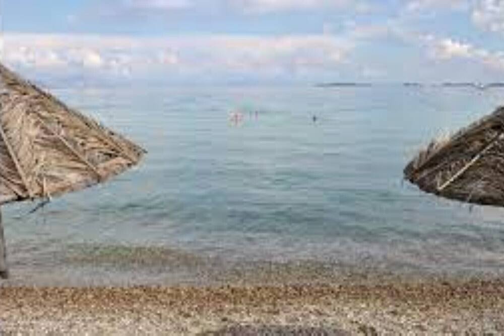 Photo of Others in Gizzeria Lido