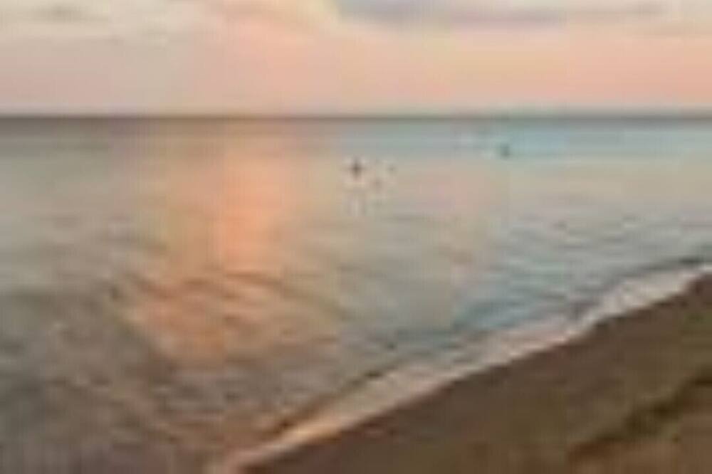 Photo of Others in Gizzeria Lido