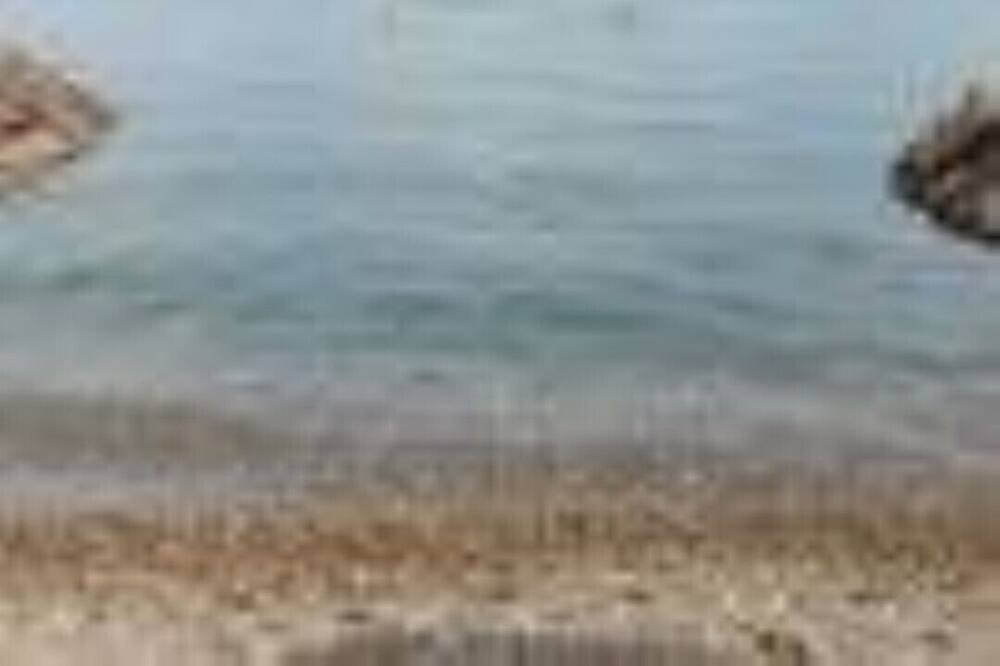 Photo of Others in Gizzeria Lido