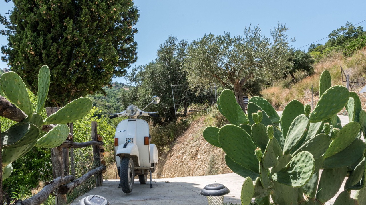 Photo of Outdoor in Perdifumo