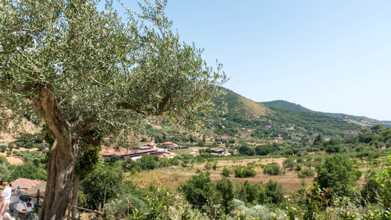 Photo of Outdoor in Perdifumo