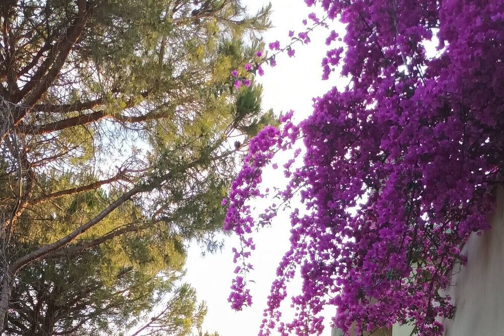 Photo of Outdoor in San Giovanni