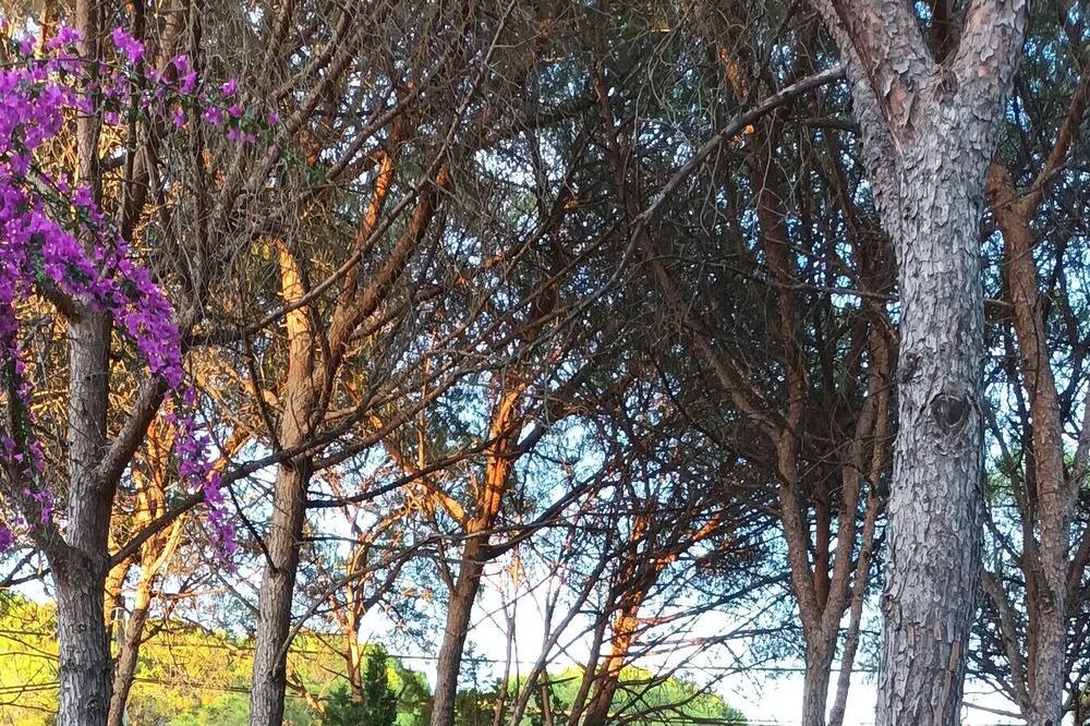 Photo of Outdoor in San Giovanni