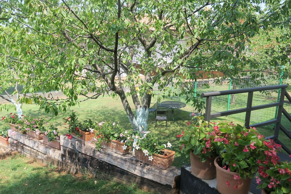 Photo of Others in Sevegliano