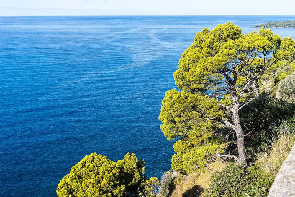 Photo of Outdoor in Pollica