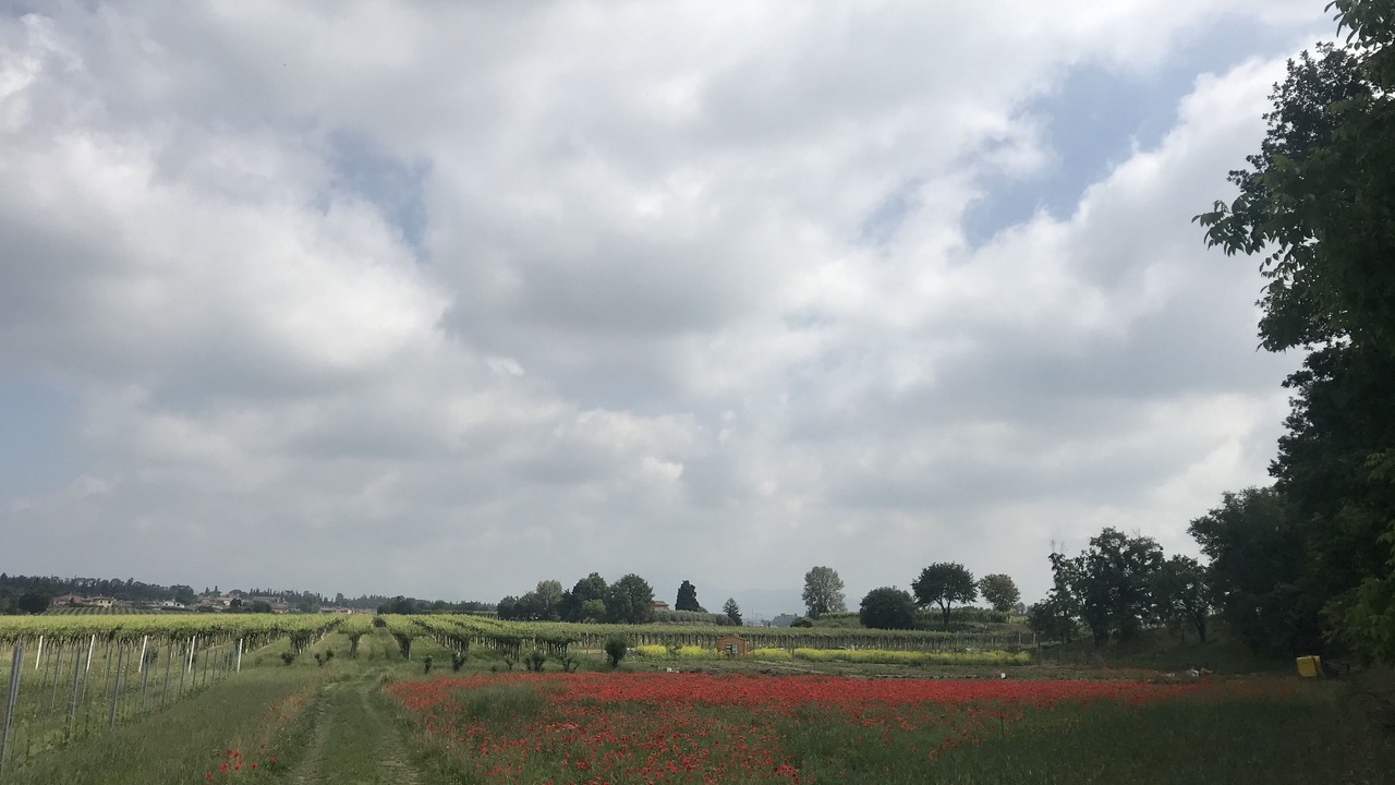 Photo of Outdoor in Cola