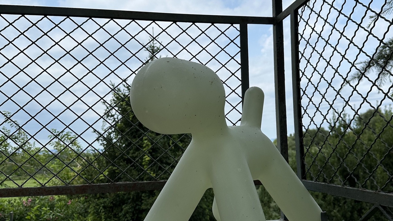Photo of Outdoor in Cola