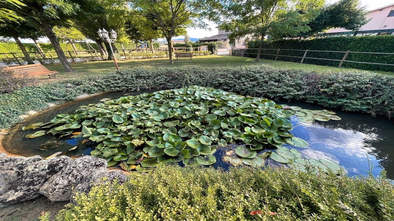 Photo of Outdoor in Limiti