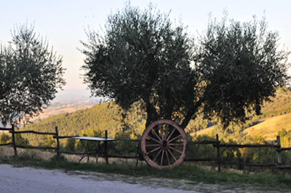 Photo of Outdoor in San Venanzo