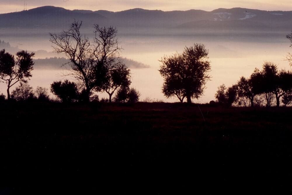 Photo of Others in San Venanzo