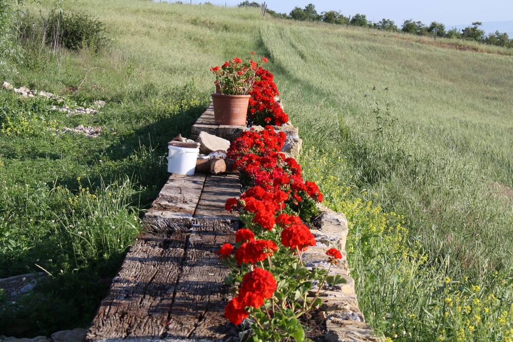 Photo of Outdoor in San Venanzo
