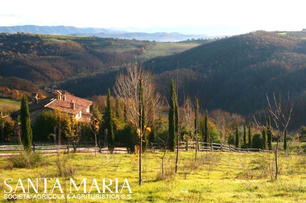 Photo of Others in San Venanzo